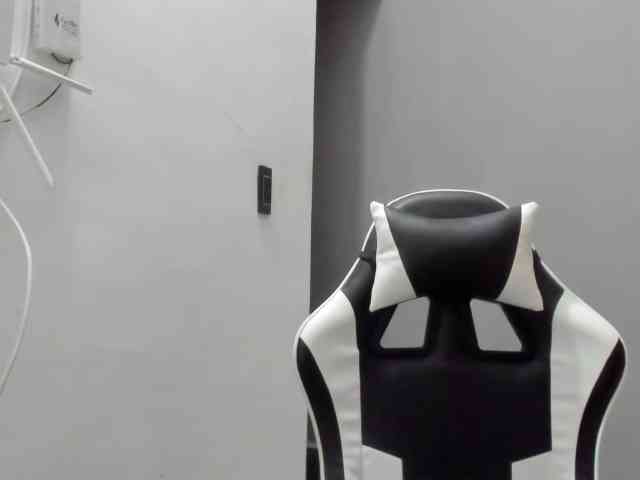 LaraCat1 webcam