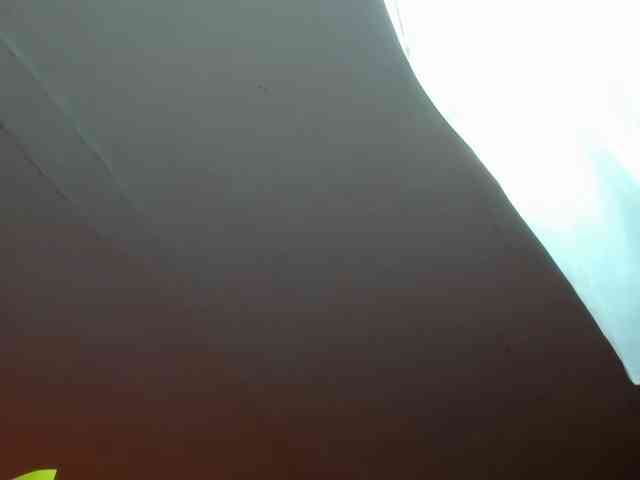 LaraCat1 webcam