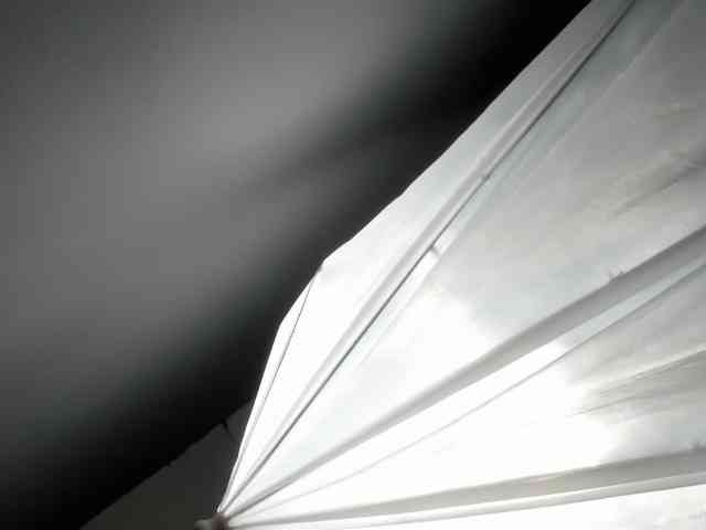 LaraCat1 webcam