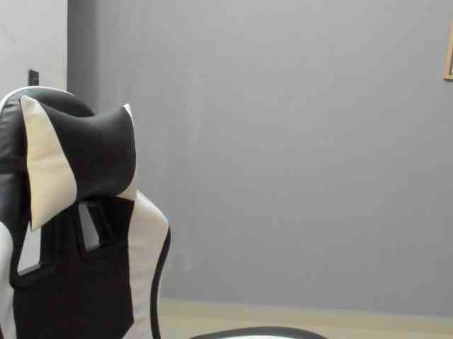 LaraCat1 webcam