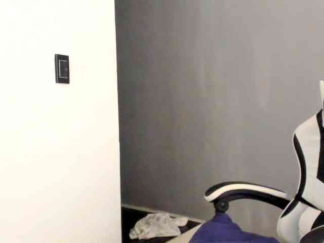 LaraCat1 webcam