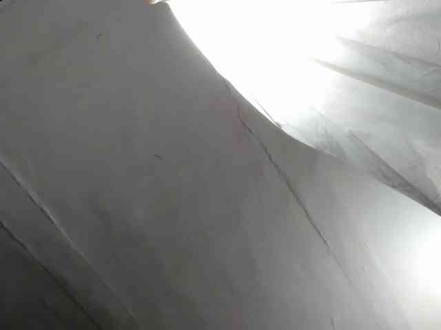 LaraCat1 webcam