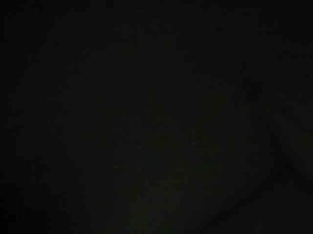 LaraCat1 webcam