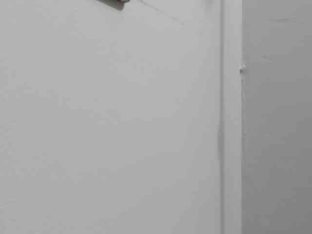 LaraCat1 webcam
