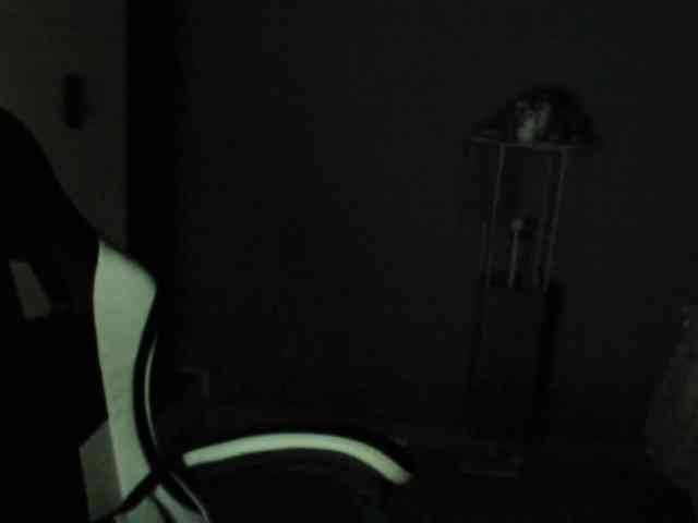 LaraCat1 webcam