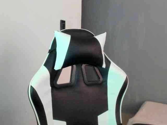 LaraCat1 webcam