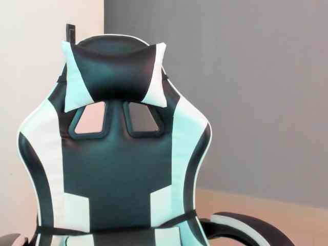 LaraCat1 webcam