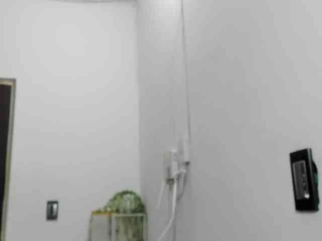 LaraCat1 webcam