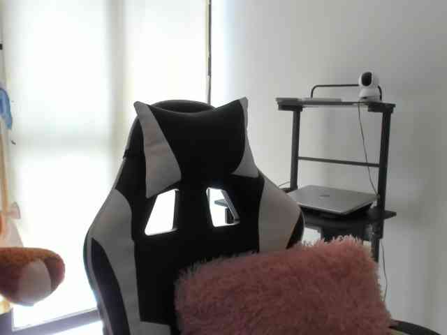 LaraCat1 webcam