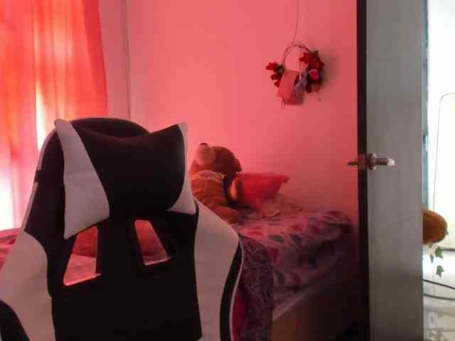 LaraCat1 webcam