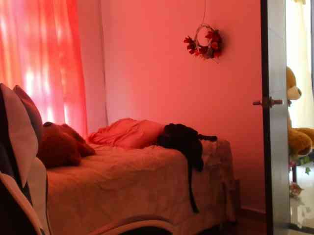 LaraCat1 webcam