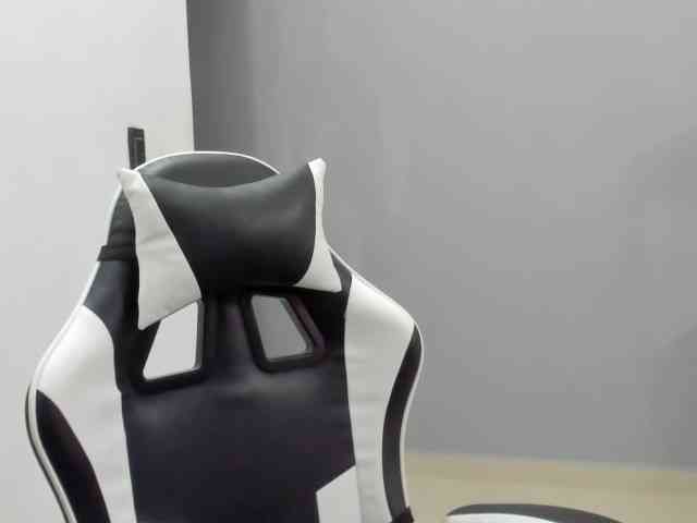 LaraCat1 webcam