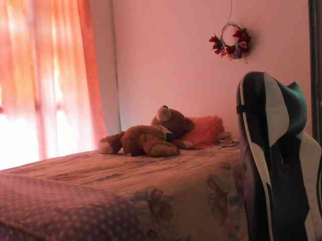 LaraCat1 webcam