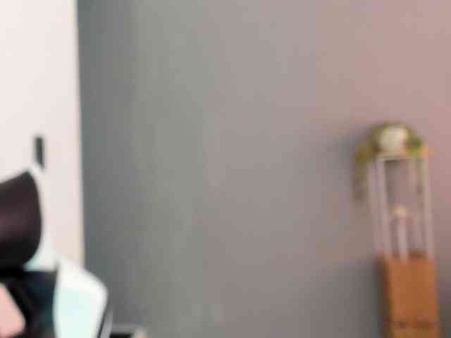 LaraCat1 webcam