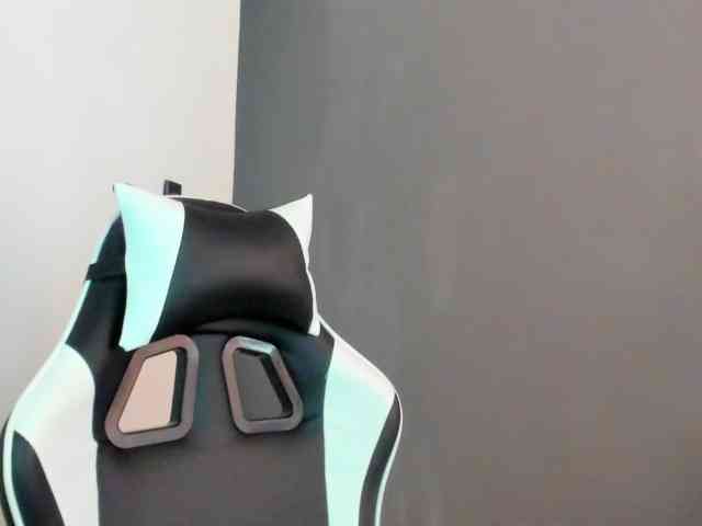 LaraCat1 webcam