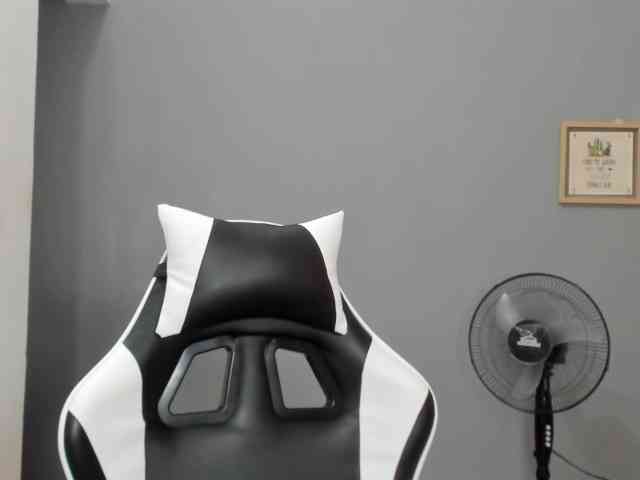 LaraCat1 webcam