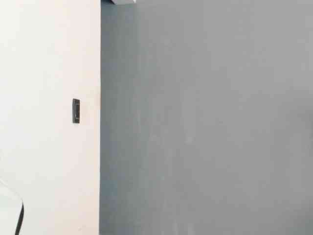 LaraCat1 webcam