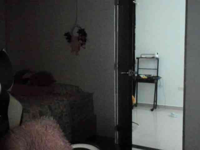 LaraCat1 webcam