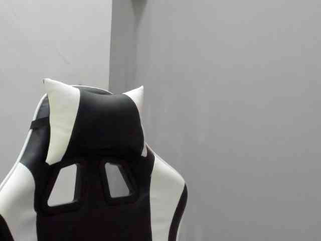 LaraCat1 webcam