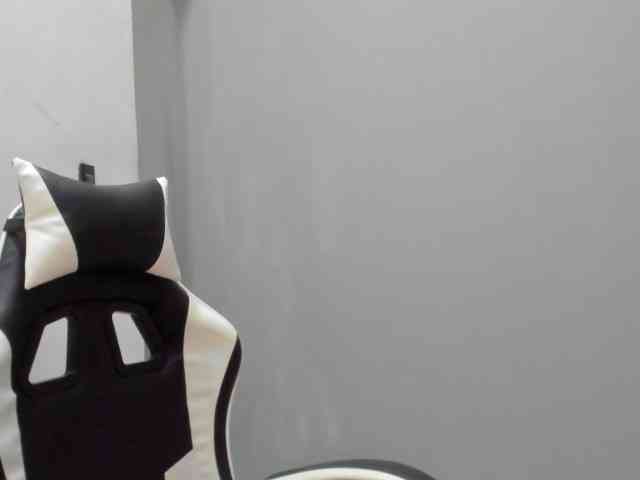 LaraCat1 webcam