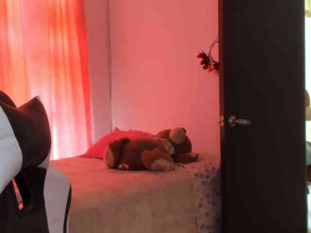 LaraCat1 webcam