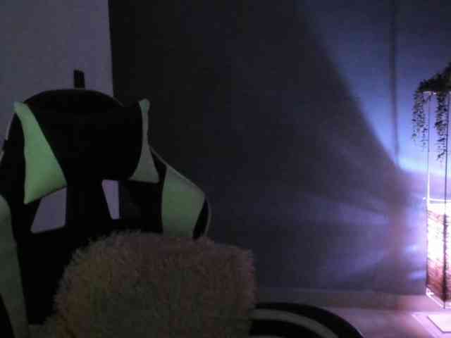 LaraCat1 webcam
