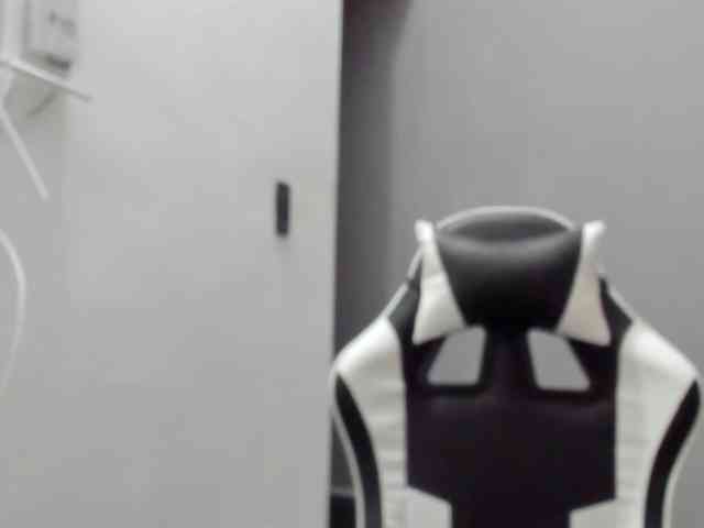 LaraCat1 webcam