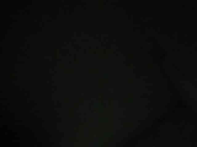 LaraCat1 webcam