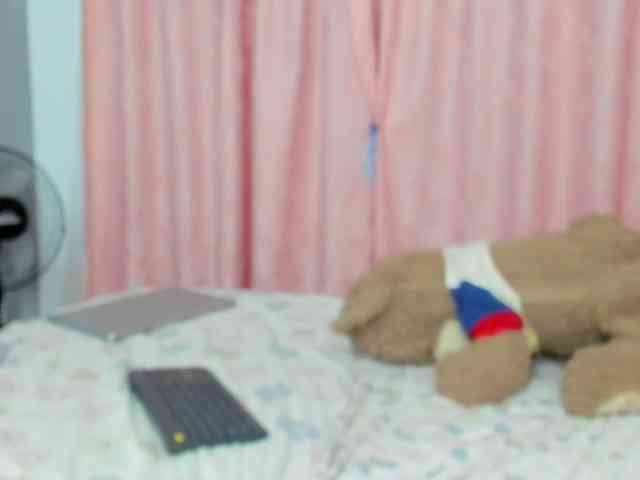 LaraCat1 webcam