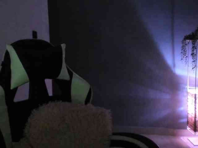 LaraCat1 webcam