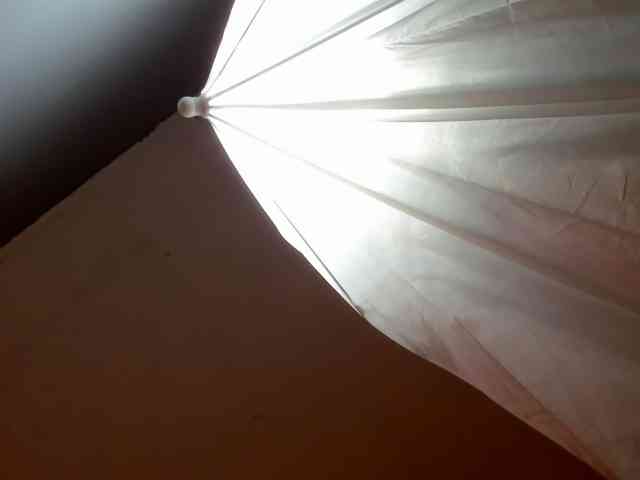 LaraCat1 webcam