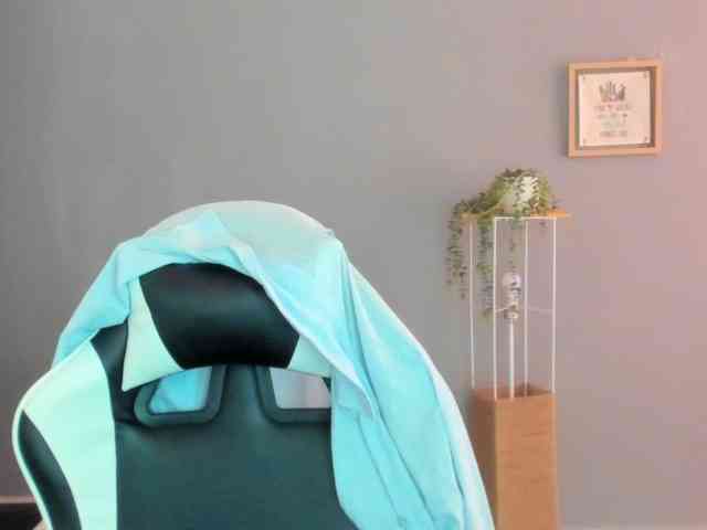 LaraCat1 webcam
