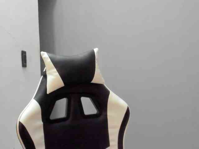 LaraCat1 webcam