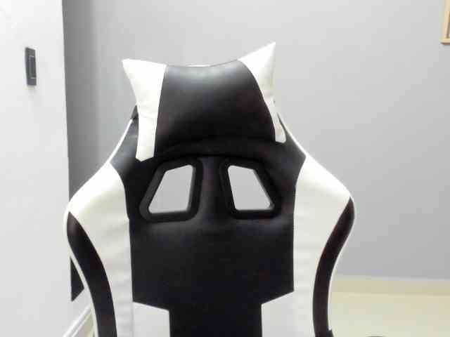 LaraCat1 webcam