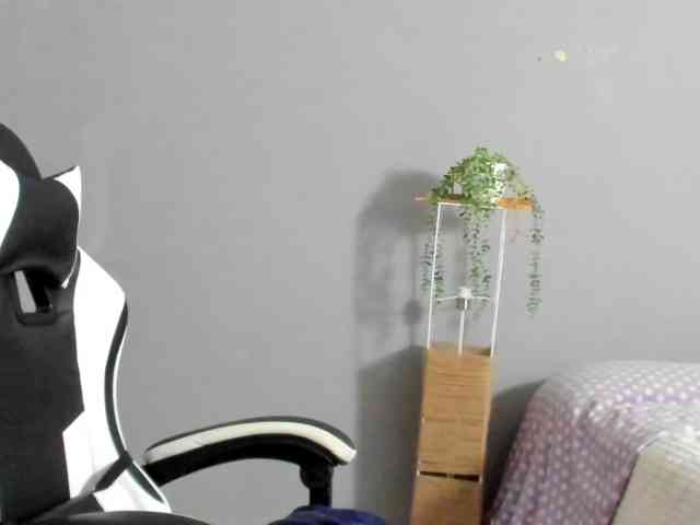 LaraCat1 LaraCat1