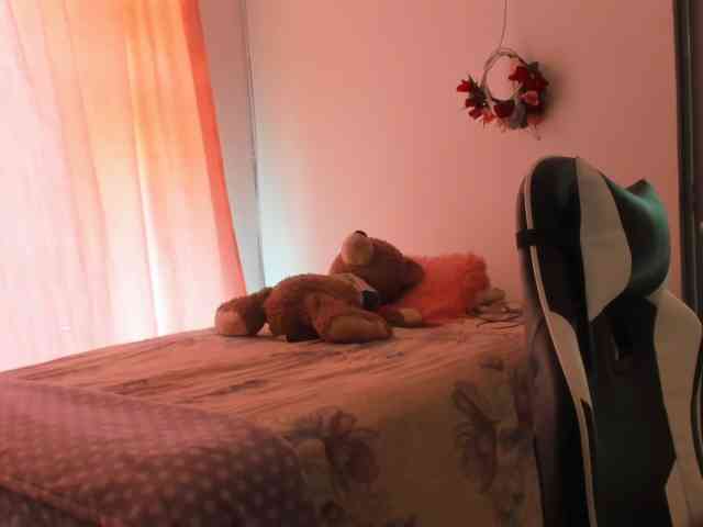 LaraCat1 webcam