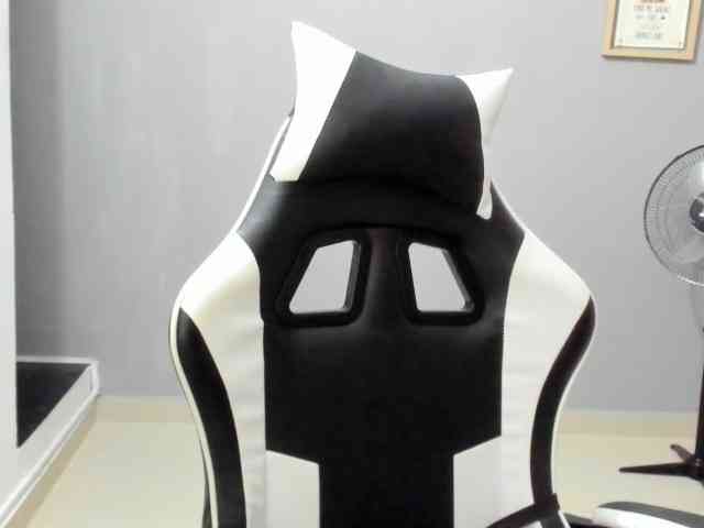 LaraCat1 webcam
