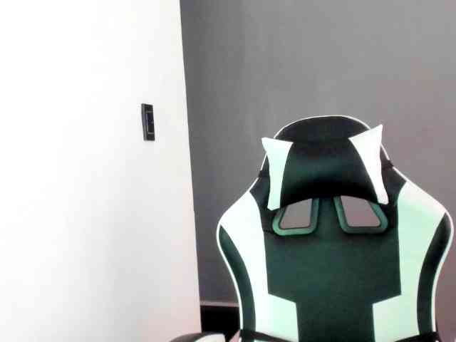 LaraCat1 LaraCat1