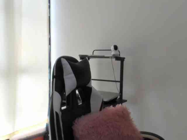 LaraCat1 webcam