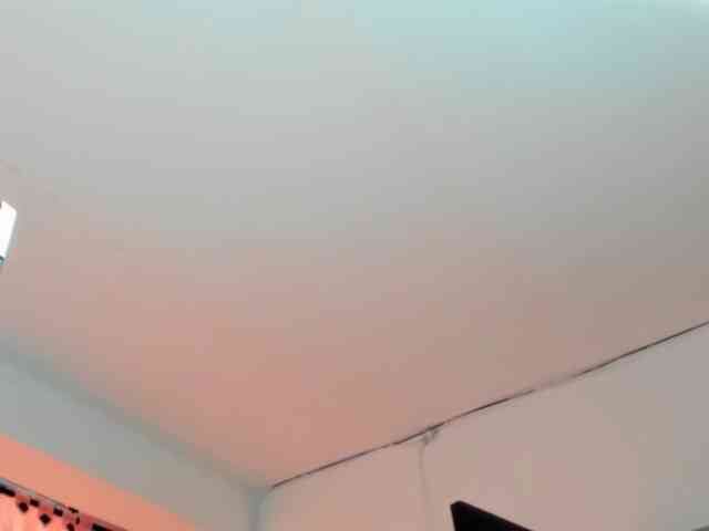 LaraCat1 webcam