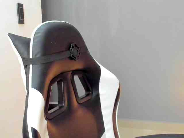 LaraCat1 webcam