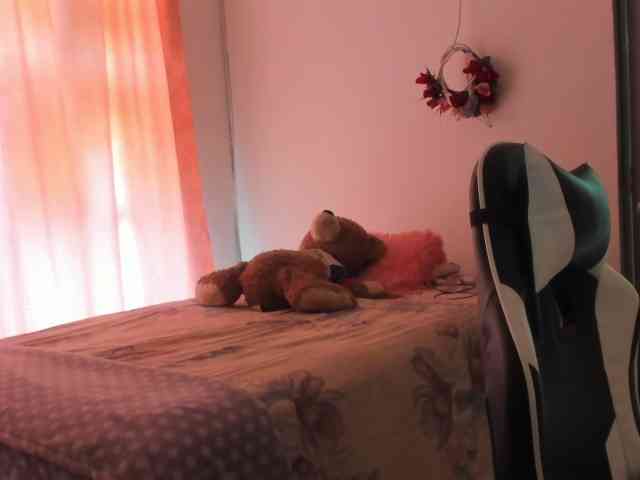 LaraCat1 webcam