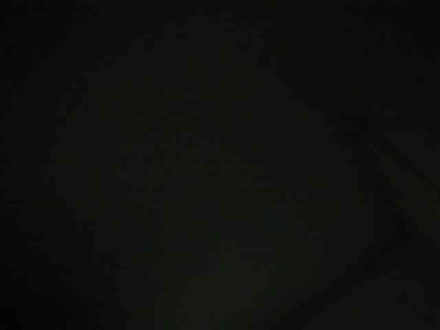 LaraCat1 webcam