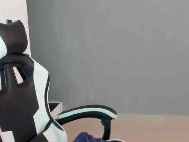 LaraCat1 webcam