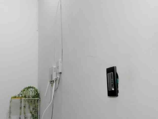 LaraCat1 webcam