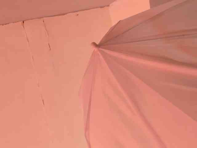 LaraCat1 webcam