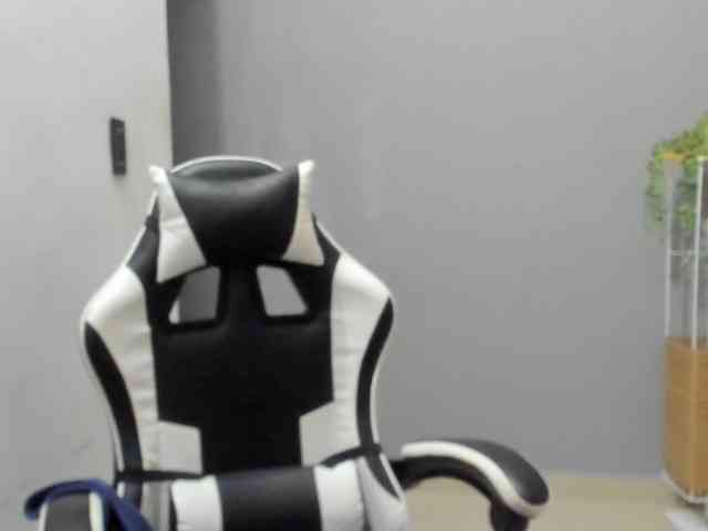 LaraCat1 webcam