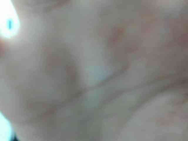 LaraCat1 webcam