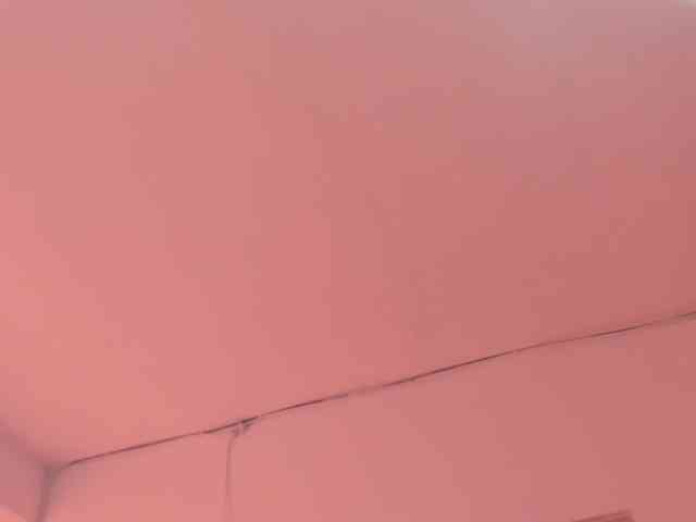 LaraCat1 webcam