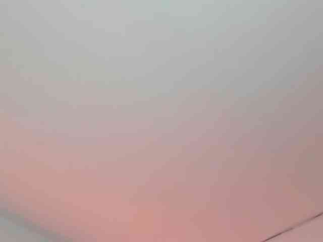 LaraCat1 webcam